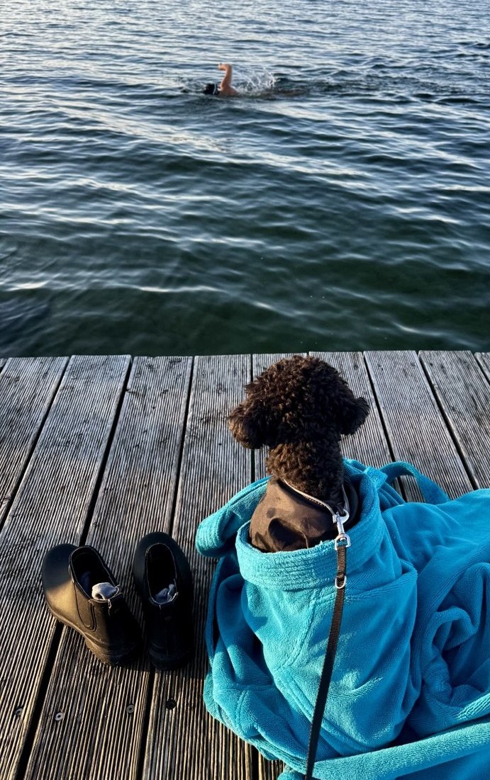 Blick vom Holzsteg auf den See: Ines Hahn schwimmt im Morgenlicht, am Steg warten Hund und Bademantel